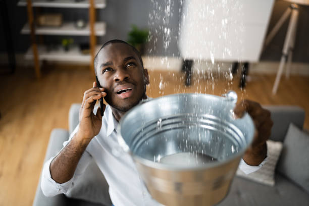 Best Water damage restoration near me  in Breezy Point, MN