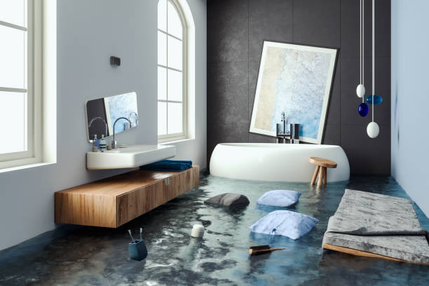 Best Carpet water damage restoration  in Breezy Point, MN