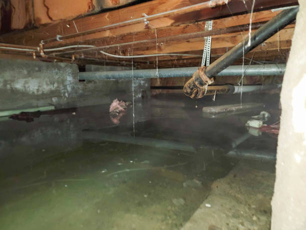 Water damage restoration insurance claims in MN