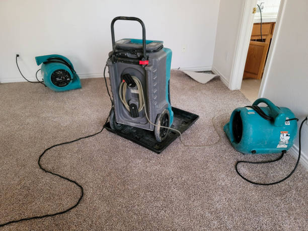 Trusted MN Water damage restoration Experts