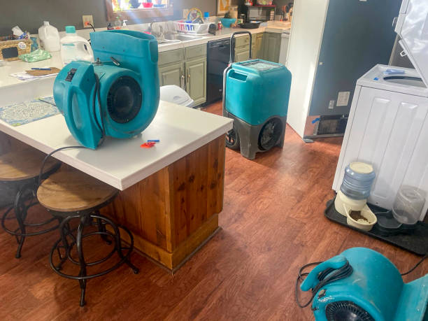 Water damage restoration insurance claims in MN