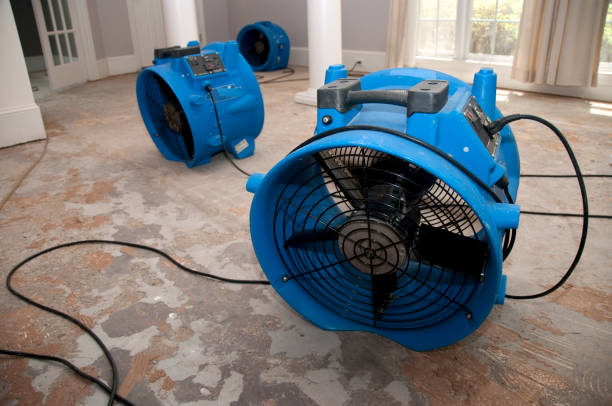  Breezy Point, MN Water damage restoration Pros