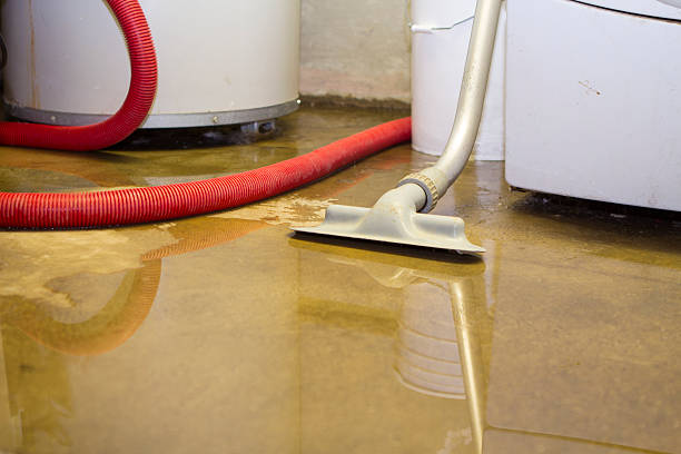 Best Basement water damage restoration  in Breezy Point, MN