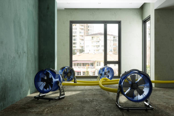 Local water damage restoration in MN