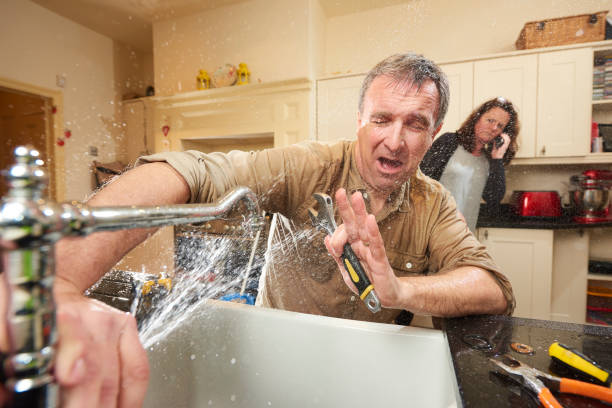 Best 24/7 water damage repair  in Breezy Point, MN